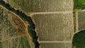 Aerial top view from flying drone of a land with sown green fields in countryside in spring day. Shot. Land with grown Royalty Free Stock Photo