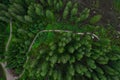 Aerial top view forest, Texture of forest view from above, Copter drone view, Panoramic photo over the tops of pine forest