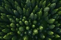 Aerial top view forest tree, Rainforest ecosystem and healthy environment concept and background