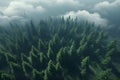 Aerial top view forest tree, Rainforest ecosystem and healthy environment concept and background