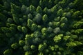 Aerial top view forest tree, Rainforest ecosystem and healthy environment concept and background