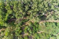 Aerial top view forest trees Rainforest with path way and mountain bike lane