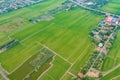 Aerial top view of fresh paddy rice, green agricultural fields in countryside or rural area of Mu Cang Chai, mountain hills valley