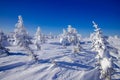 Aerial top view frozen forest, winter landscape scene with blue sky Royalty Free Stock Photo