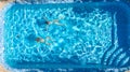 Aerial top view of girls in swimming pool water from above, active children swim, kids have fun on tropical family vacation Royalty Free Stock Photo