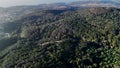 Aerial top view of the green forest with foliage in Peninha, Sintra, Portugal