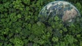 Aerial top view green forest with globe earth, Green planet in your hands, Save Earth, Texture of forest view from above ecosystem