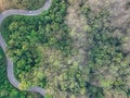 Aerial top view of green forest and highway road. Drone view of green trees and morning fog. Green trees background for carbon