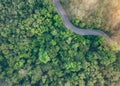 Aerial top view of green forest and highway road. Drone view of green trees and morning fog. Green trees background for carbon Royalty Free Stock Photo