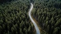 Aerial top view of green forest. The road in the forest. Pine trees and spruce trees. Drone photo. Aerial landscape