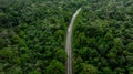 Aerial top view of green forest tree and global globe, Tropical rain forest tree ecosystem and healthy environment, Texture and