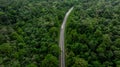 Aerial top view of green forest tree and global globe, Tropical rain forest tree ecosystem and healthy environment, Texture and Royalty Free Stock Photo