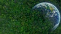 Aerial top view of green forest tree and global globe, Tropical rain forest tree ecosystem and healthy environment, Texture and Royalty Free Stock Photo