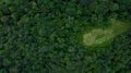 Aerial top view of green forest tree, Tropical rain forest tree ecosystem and healthy environment, Texture and background of green