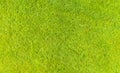 Aerial top view of green fresh summer lawn in park. natural textured background. Top view from drone. Green grass pattern and text Royalty Free Stock Photo