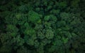 Aerial top view of green trees in forest. Drone view of dense green tree captures CO2. Green tree nature background for carbon