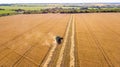 Aerial top view harvester machine working in fields