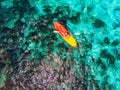 Aerial top view Kayak boat turquoise blue water sea Royalty Free Stock Photo