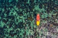 Aerial top view Kayak boat turquoise blue water sea. Concept travel Royalty Free Stock Photo