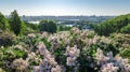 Aerial top view of Kiev city and botanical garden park from above, blossoming lilac and Kyiv cityscape, Ukraine Royalty Free Stock Photo