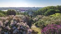 Aerial top view of Kiev city and botanical garden park from above, blossoming lilac and Kyiv cityscape, Ukraine Royalty Free Stock Photo