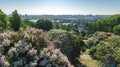 Aerial top view of Kiev city and botanical garden park from above, blossoming lilac and Kyiv cityscape, Ukraine Royalty Free Stock Photo