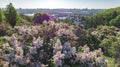 Aerial top view of Kiev city and botanical garden park from above, blossoming lilac and Kyiv cityscape, Ukraine Royalty Free Stock Photo