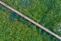 Aerial top view of long narrow wooden bridge over tropical dense forest with people walking on it Royalty Free Stock Photo