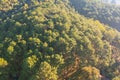 Aerial top view of lush green trees from above in tropical forest in national park and mountain or hill in summer season in Royalty Free Stock Photo