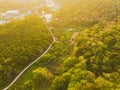 Aerial top view of lush green trees from above in tropical forest in national park and mountain or hill in summer season in Royalty Free Stock Photo