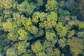 Aerial top view of lush green trees from above in tropical forest in national park and mountain or hill in summer season. Natural Royalty Free Stock Photo