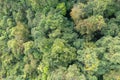 Aerial top view of lush green trees from above in tropical forest in national park and mountain or hill in summer season in Royalty Free Stock Photo