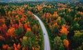 Aerial top view Nature autumn road in yellow forest, concept of trip by red car Royalty Free Stock Photo