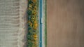 Aerial top view of the new road, beautiful autumn trees, field