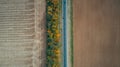 Aerial top view of the new road, beautiful autumn trees, field