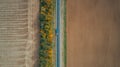 Aerial top view of the new road, beautiful autumn trees, field