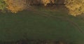 Aerial top view over field and autumn forest in the morning Royalty Free Stock Photo