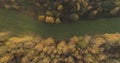 Aerial top view over field and autumn forest in the morning Royalty Free Stock Photo