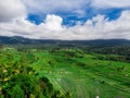Aerial top view of paddy rice terraces, green agricultural fields in countryside or rural area of Jatiluwih. Aerial top Royalty Free Stock Photo