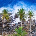 Aerial top view of palm trees and a rocky shore. Sea waves are breaking on the rocks on the beach Royalty Free Stock Photo