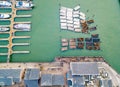 Aerial top view of the pier in San Francisco with sea lions lying by the docks