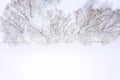 Aerial top view of riverbank with frozen trees Royalty Free Stock Photo