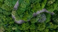 Aerial top view of road in green tree forest, Top view from drone of rural road, mountains, forest. Beautiful landscape with Royalty Free Stock Photo