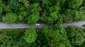 Aerial top view of road in green tree forest, Top view from drone of rural road, mountains, forest. Beautiful landscape with Royalty Free Stock Photo
