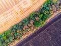 Aerial top view of row of trees crossing by diagonal of two types of fields