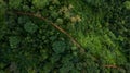 Aerial top view rural road in the forest, dirt road or mud road and rain forest, Aerial view road in nature, Ecosystem and healthy