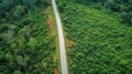 Aerial top view rural road in the forest, dirt road or mud road and rain forest, Aerial view road in nature, Ecosystem and healthy Royalty Free Stock Photo