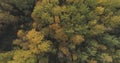 Aerial top view shot of autumn trees in forest in october Royalty Free Stock Photo