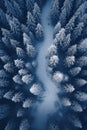 Aerial top view of snowy road in forest in winter. Landscape of white blue woods with snow, path and frozen trees. Concept of Royalty Free Stock Photo