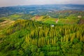 Aerial top view of summer green and yellow pine trees in forest in rural